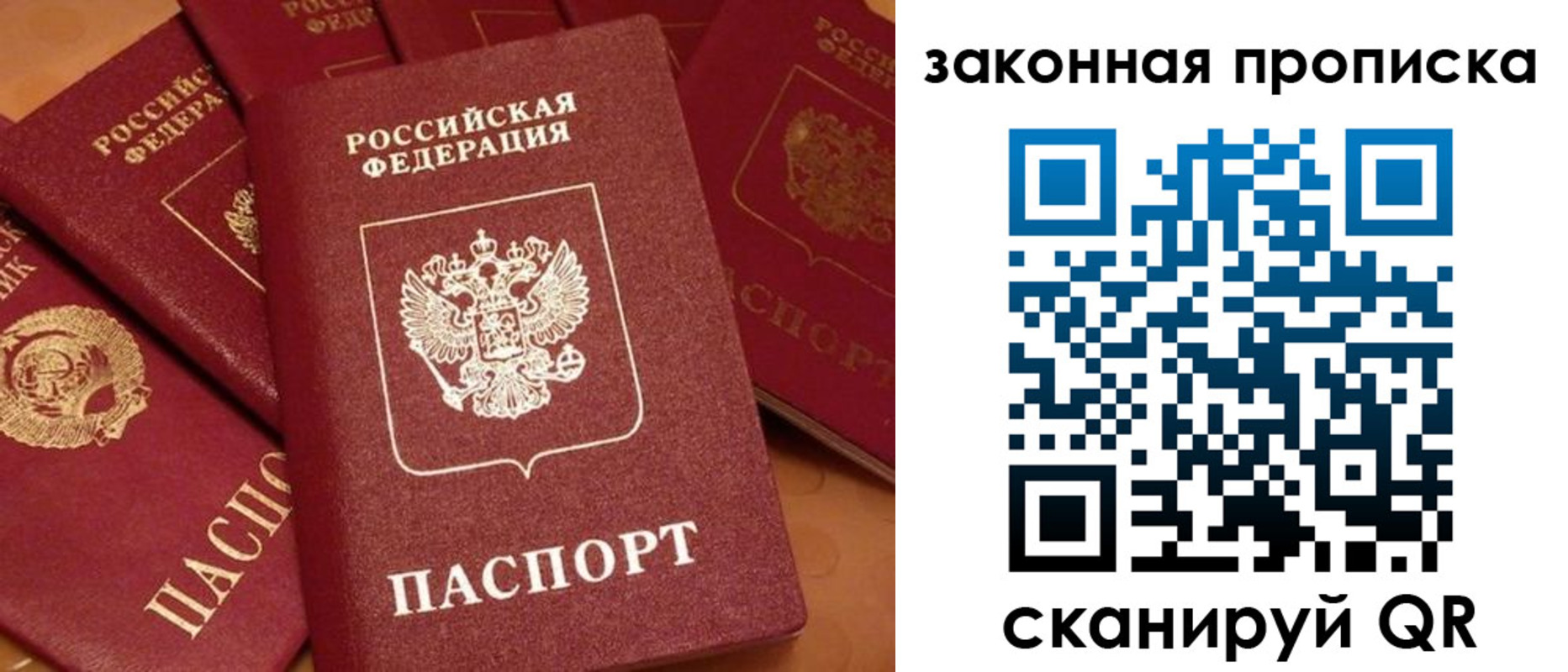 пропишу в квартире в Павловском Посаде